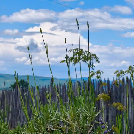 Vezirove Zore * Paraćin
