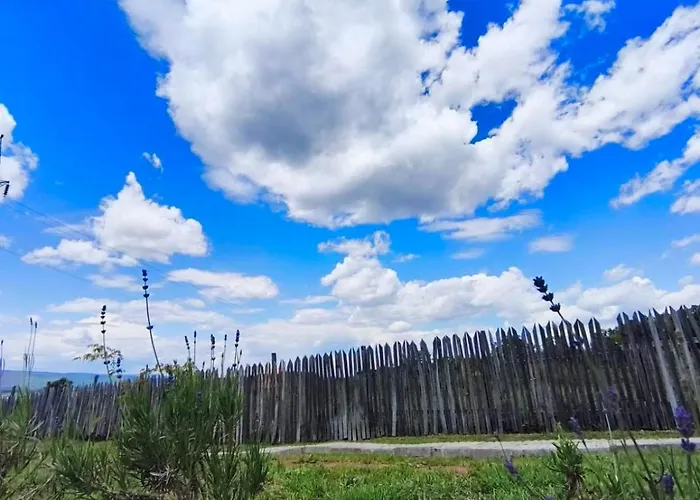 Vezirove Zore Kır Evi Paraćin